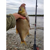 Удилище Волжанка Optima Evo Pro 10ft тест 25+гр 041-0111 (3м) - Превью изображения №5 — Интернет-магазин ПроЗаказ