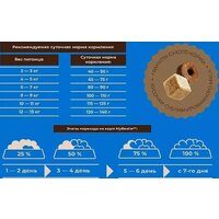 Сухой корм для кошек MyBestie Мэйн Кун (8 кг) - Превью изображения №6 — Интернет-магазин ПроЗаказ