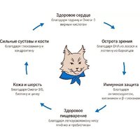 Сухой корм для кошек MyBestie Мэйн Кун (8 кг) - Превью изображения №7 — Интернет-магазин ПроЗаказ
