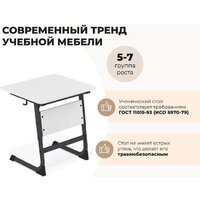 Ученический стол Sheffilton SHT-T-TN14/5-7 (антрацит/береза) - Превью изображения №2 — Интернет-магазин ПроЗаказ