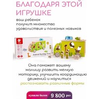 Сортер Classic World Сафари CW41550 - Превью изображения №5 — Интернет-магазин ПроЗаказ