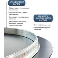 Зеркало с подсветкой  EMZE Smartphone 50x100 LED.SMART.50.100.4K (с подсветкой) - Превью изображения №7 — Интернет-магазин ПроЗаказ
