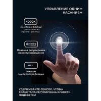 Зеркало с подсветкой  EMZE Smartphone 50x100 LED.SMART.50.100.4K (с подсветкой) - Превью изображения №8 — Интернет-магазин ПроЗаказ