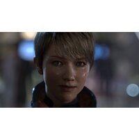  Detroit: Become Human для PlayStation 4 - Превью изображения №13 — Интернет-магазин ПроЗаказ