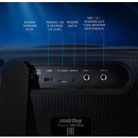 Беспроводная колонка SmartBuy Evolution 2 SBS-5560 - Превью изображения №13 — Интернет-магазин ПроЗаказ