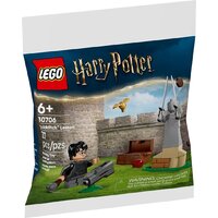 LEGO Harry Potter 30706 Урок по квиддичу