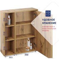  Doratiz Шкаф с зеркалом Doratiz Лофт 60 2712.114 (ватан) - Превью изображения №10 — Интернет-магазин ПроЗаказ