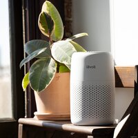 Очиститель воздуха Levoit Core Mini - Превью изображения №5 — Интернет-магазин ПроЗаказ