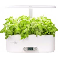 CACTUS CS-SMARTPOT-11