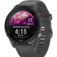 Garmin Forerunner 255 (сланцево-серый/черный)