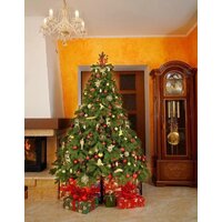 Ель National Tree Company Эверест ЭВ-180 (180 см) - Превью изображения №5 — Интернет-магазин ПроЗаказ