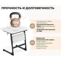 Ученический стол Sheffilton SHT-T-TN13/3-5 (антрацит/береза) - Превью изображения №3 — Интернет-магазин ПроЗаказ