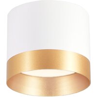 Ambrella light GX53 TN5315 WH/GD (белый/золото)