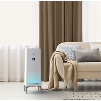 Очиститель воздуха Electrolux EAP-2050D Yin&Yang - Превью изображения №8 — Интернет-магазин ПроЗаказ