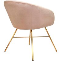 Стул с подлокотниками AksHome Amur (светло-коричневый велюр/золото) - Превью изображения №4 — Интернет-магазин ПроЗаказ