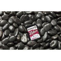 Карта памяти Kingston Canvas React SDR/256GB SDXC 256GB - Превью изображения №6 — Интернет-магазин ПроЗаказ