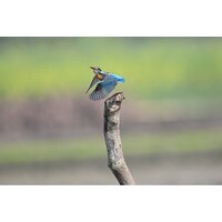 Беззеркальный фотоаппарат Nikon Z6 III Kit 24-120mm f/4 S - Превью изображения №28 — Интернет-магазин ПроЗаказ