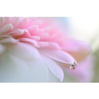 Беззеркальный фотоаппарат Nikon Z6 III Kit 24-120mm f/4 S - Превью изображения №30 — Интернет-магазин ПроЗаказ
