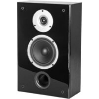  WILSON Raptor On-Wall Black Ash - Превью изображения №4 — Интернет-магазин ПроЗаказ