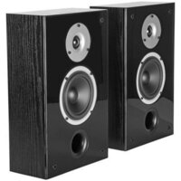 WILSON Raptor On-Wall Black Ash
