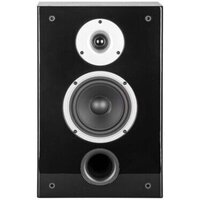  WILSON Raptor On-Wall Black Ash - Превью изображения №2 — Интернет-магазин ПроЗаказ