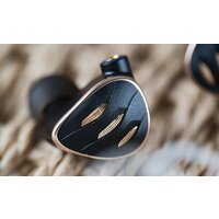 Наушники FiiO FH5s (черный) - Превью изображения №11 — Интернет-магазин ПроЗаказ