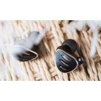 Наушники FiiO FH5s (черный) - Превью изображения №10 — Интернет-магазин ПроЗаказ