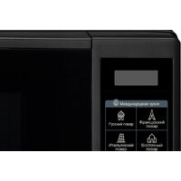 Микроволновая печь LG MS2042DB - Превью изображения №3 — Интернет-магазин ПроЗаказ