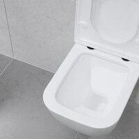 Унитаз подвесной Lauter Nuremberg 21811 + Breez 21GN7071CH - Превью изображения №27 — Интернет-магазин ПроЗаказ