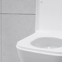 Унитаз подвесной Lauter Nuremberg 21811 + Breez 21GN7071CH - Превью изображения №28 — Интернет-магазин ПроЗаказ