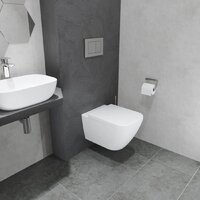 Унитаз подвесной Lauter Nuremberg 21811 + Breez 21GN7071CH - Превью изображения №12 — Интернет-магазин ПроЗаказ