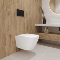 Унитаз подвесной Lauter Nuremberg 21811 + Breez 21GN7071CH - Превью изображения №24 — Интернет-магазин ПроЗаказ