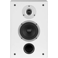  WILSON Raptor On-Wall White Ash - Превью изображения №2 — Интернет-магазин ПроЗаказ