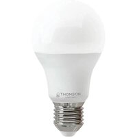 Thomson A65 E27 19Вт 6500 К TH-B2349