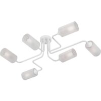 Vitaluce V4310 V4310-0/6PL
