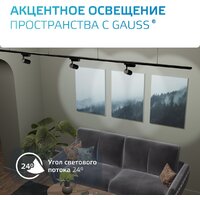 Трековый светильник Gauss TR074 - Превью изображения №7 — Интернет-магазин ПроЗаказ