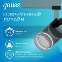 Трековый светильник Gauss TR074 - Превью изображения №8 — Интернет-магазин ПроЗаказ