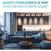 Трековый светильник Gauss TR074 - Превью изображения №11 — Интернет-магазин ПроЗаказ