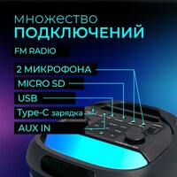 Беспроводная колонка Ginzzu GM-117 - Превью изображения №10 — Интернет-магазин ПроЗаказ