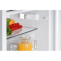 Однокамерный холодильник Nord (Nordfrost) RFS-85 W - Превью изображения №13 — Интернет-магазин ПроЗаказ