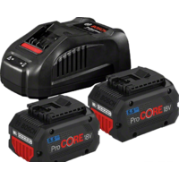 Bosch ProCORE Professional 1600A0214C (18В/5.5 Ah + 14.4-18В)