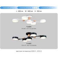 Припотолочная люстра Ambrella light FL4835/5 BK - Превью изображения №7 — Интернет-магазин ПроЗаказ