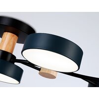Припотолочная люстра Ambrella light FL4835/5 BK - Превью изображения №5 — Интернет-магазин ПроЗаказ
