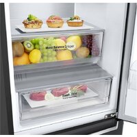 Холодильник LG GC-B509SBSM - Превью изображения №15 — Интернет-магазин ПроЗаказ