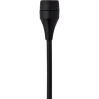 AKG C417 L
