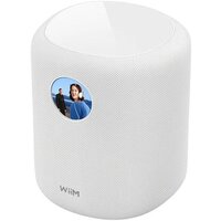 WiiM Sound (белый)