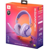 Наушники JBL Quantum 250 (фиолетовый) - Превью изображения №9 — Интернет-магазин ПроЗаказ