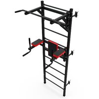 Шведская стенка (лестница) DFC D-123 - Превью изображения №4 — Интернет-магазин ПроЗаказ