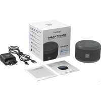 Умная колонка Prestigio SmartVoice (темно-серый) - Превью изображения №10 — Интернет-магазин ПроЗаказ
