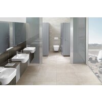 Панель смыва Villeroy & Boch ViConnect 92249069 (хром матовый) - Превью изображения №3 — Интернет-магазин ПроЗаказ